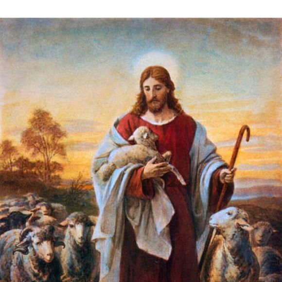 Meet your Posher, Frances - Picture 1 of 1